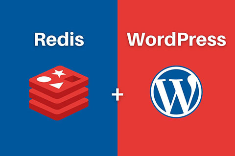 WordPress配置Redis对象缓存提升网站速度教程建站知