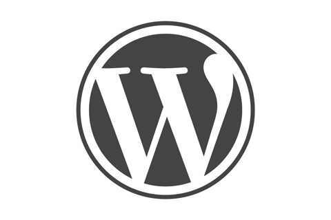 WordPress升级时提示”另一更新正在进行”的解决办法