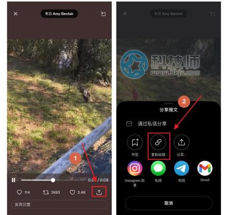 推特视频怎么保存（下载保存推特视频的方法）