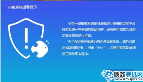 小鱼