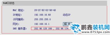 dns